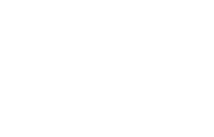 ico registered