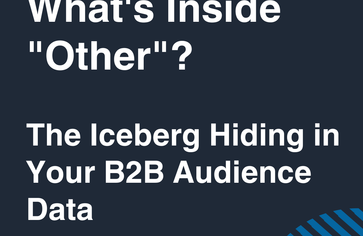  What’s Inside “Other”? The Iceberg Hiding in Your B2B Audience Data